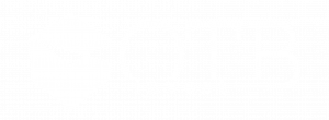 logo OTB Invest